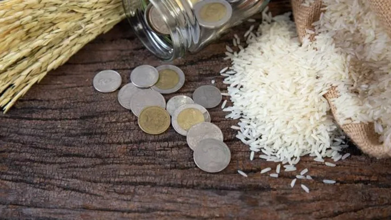 Muslim individual calculating Zakat on savings and gold using a notebook and calculator at home