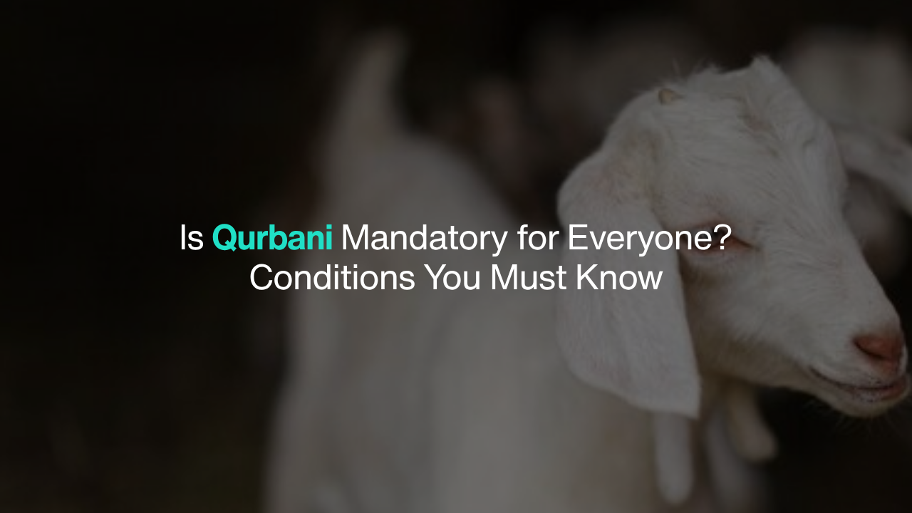 Simple text-based cover image for a blog about Qurbani rules, conditions, Nisab, and who is required to perform Qurbani in Islam.
