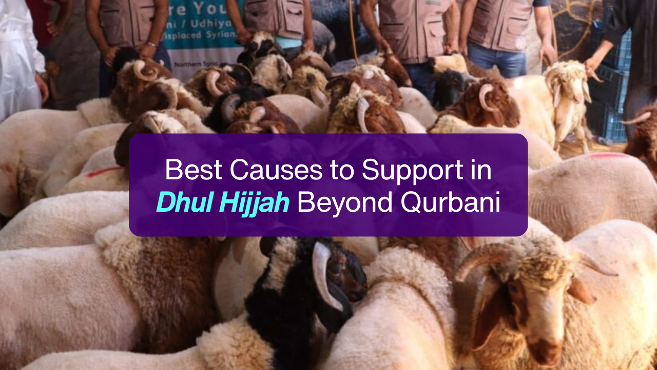 Simple text-based cover image for a blog about the best Dhul Hijjah charity causes and where to donate besides Qurbani.